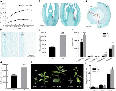 Gibberellin-related genes regulate dwarfing mechanism in wintersweet